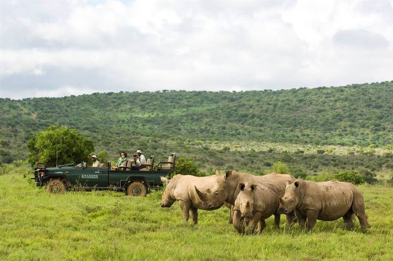 Kwandwe Private Game Reserve - Great Fish River Lodge Grahamstown Luaran gambar