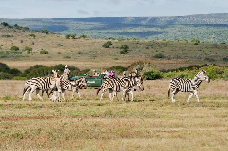 Kwandwe Private Game Reserve - Great Fish River Lodge Grahamstown Luaran gambar