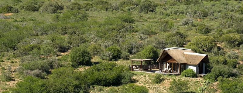 Kwandwe Private Game Reserve - Great Fish River Lodge Grahamstown Luaran gambar