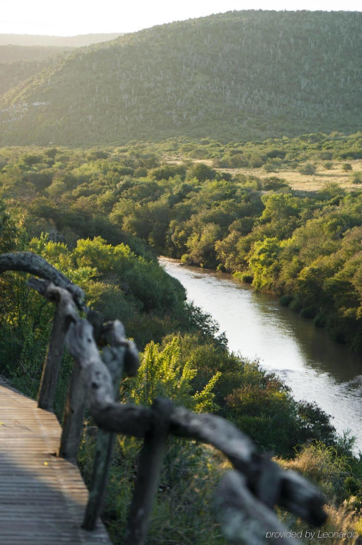 Kwandwe Private Game Reserve - Great Fish River Lodge Grahamstown Luaran gambar