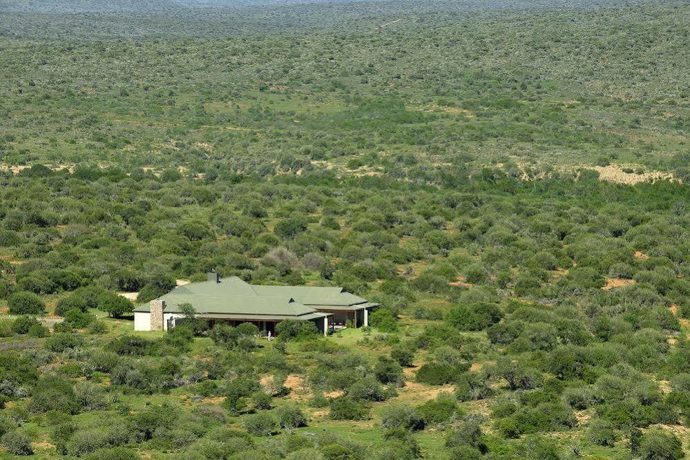 Kwandwe Private Game Reserve - Great Fish River Lodge Grahamstown Luaran gambar