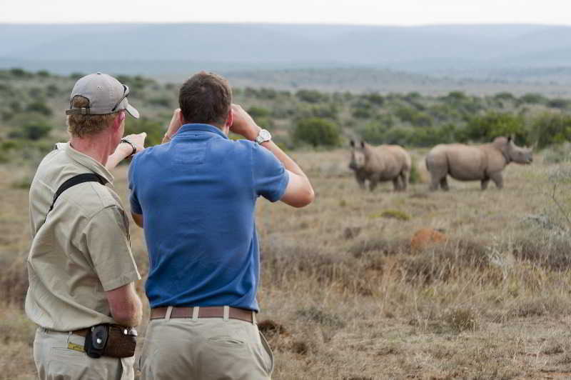 Kwandwe Private Game Reserve - Great Fish River Lodge Grahamstown Luaran gambar